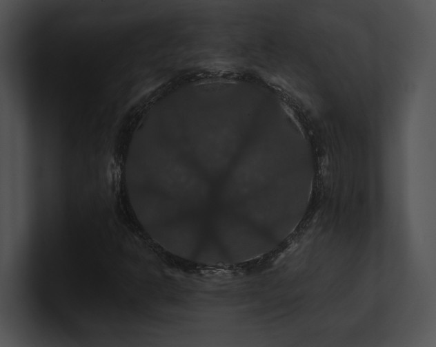 X0000100891302200806241223
