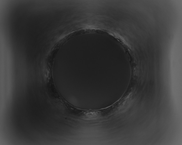 X0000100891303200806241223