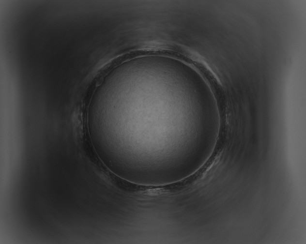 X0000100891304200806241223