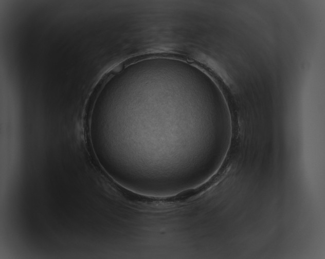 X0000100891308200806241223