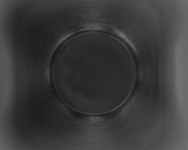 X0000100891312200806241223