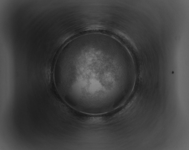 X0000100891313200806241223