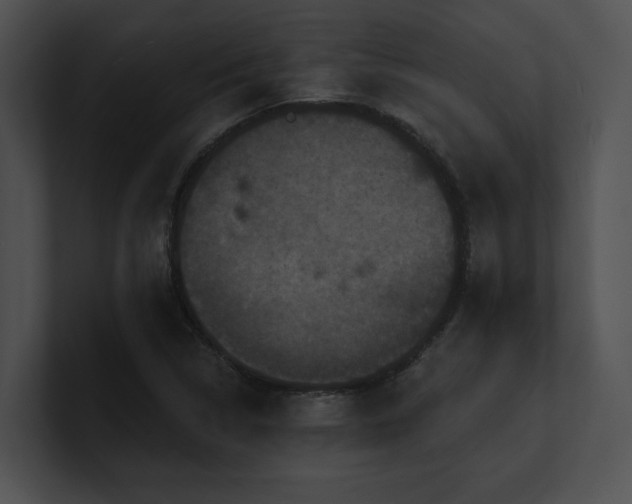 X0000100891314200806241223