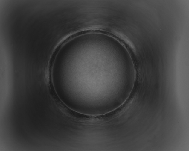 X0000100891316200806241223