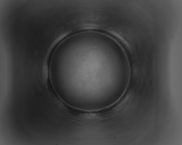 X0000100891317200806241223