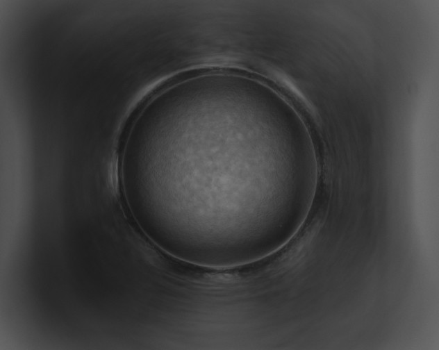 X0000100891320200806241223