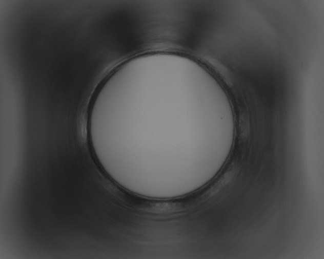 X0000100891322200806241223