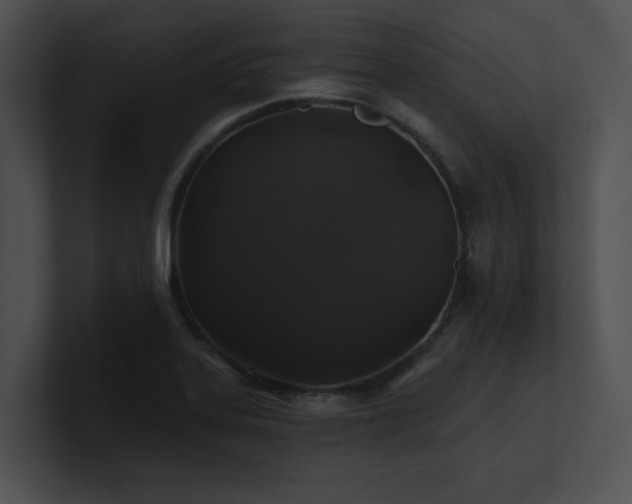 X0000100891323200806241223