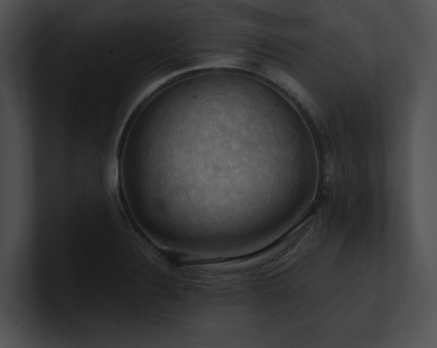X0000100891324200806241223