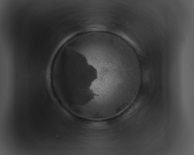 X0000100891325200806241223