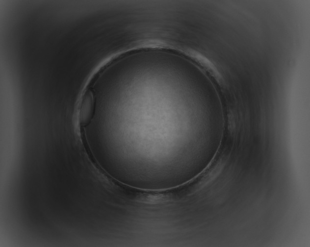 X0000100891326200806241223