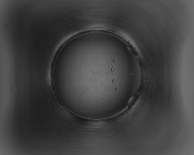X0000100891328200806241223
