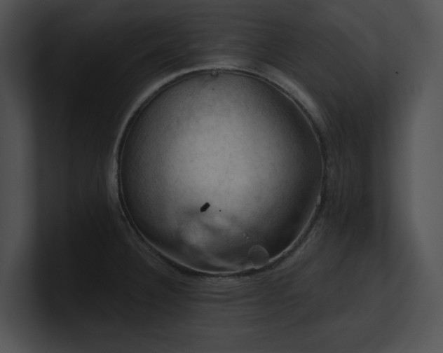 X0000100891332200806241223