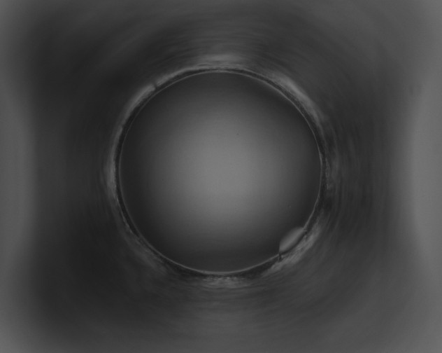 X0000100891336200806241223