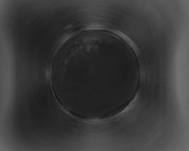 X0000100891337200806241223