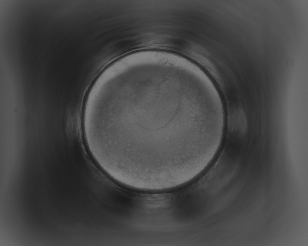 X0000100891338200806241223