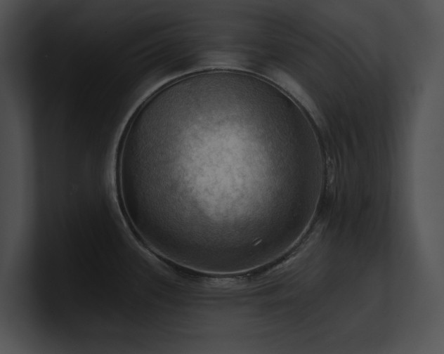 X0000100891339200806241223