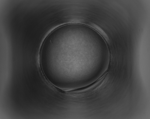 X0000100891340200806241223