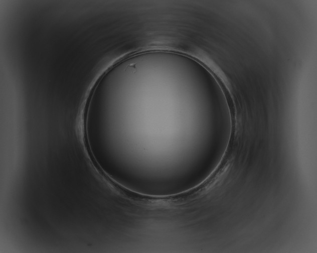 X0000100891341200806241223