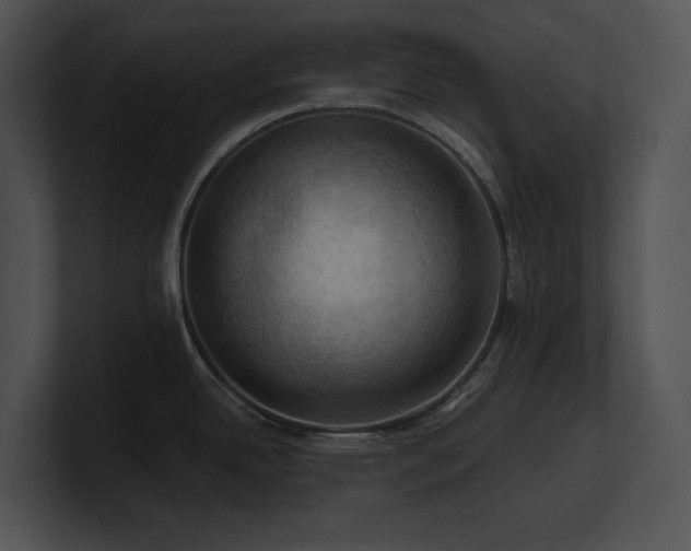 X0000100891342200806241223