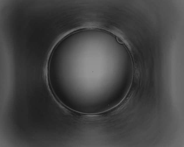 X0000100891343200806241223