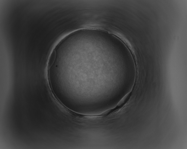 X0000100891344200806241223