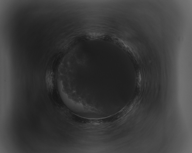 X0000100891346200806241223