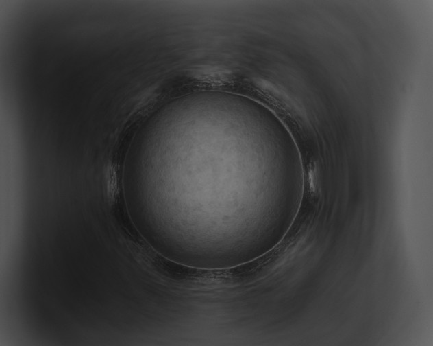 X0000100891347200806241223