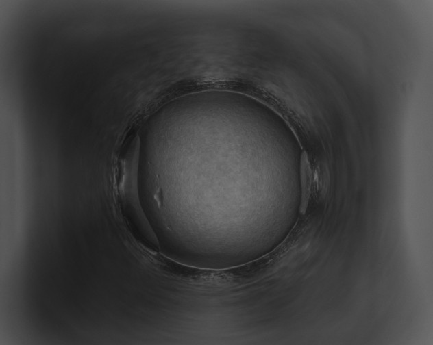 X0000100891348200806241223