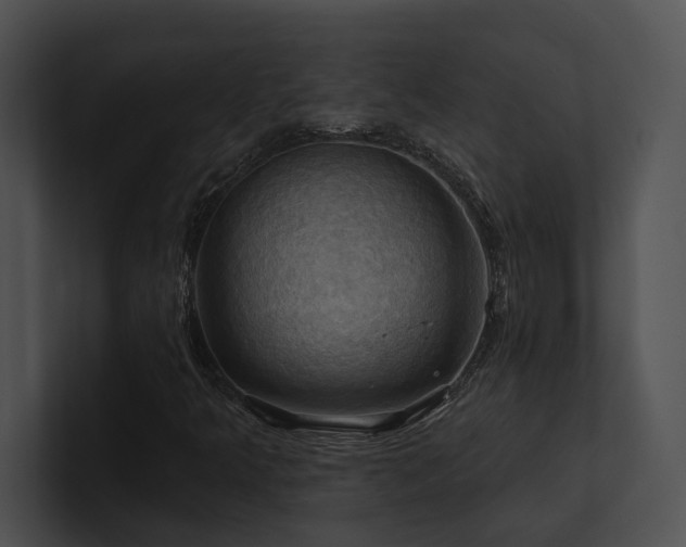 X0000100891349200806241223