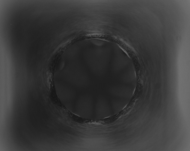 X0000100891351200806241223