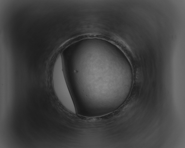 X0000100891352200806241223
