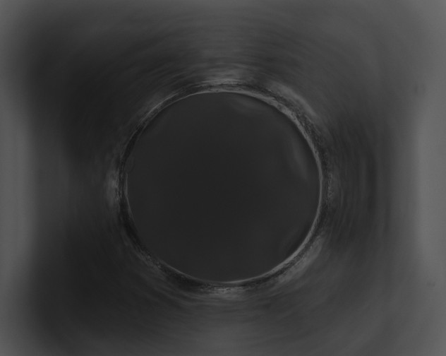X0000100891353200806241223