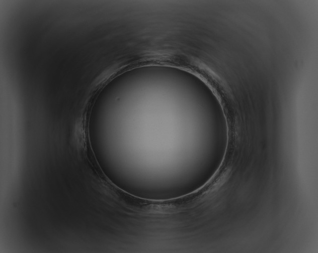 X0000100891354200806241223