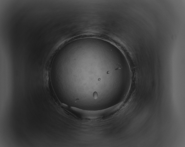 X0000100891355200806241223