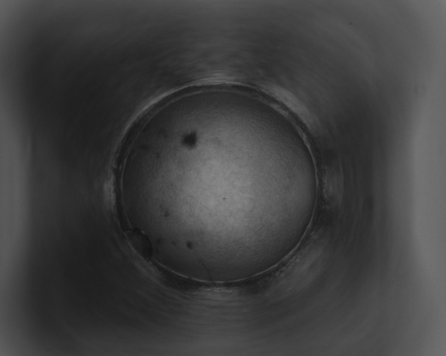 X0000100891356200806241223