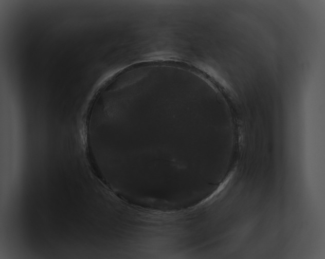X0000100891358200806241223