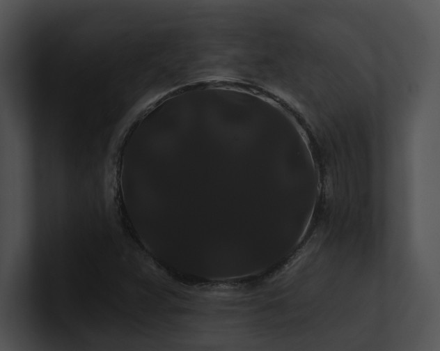 X0000100891359200806241223