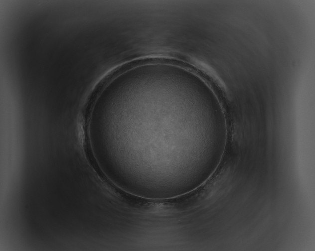 X0000100891360200806241223