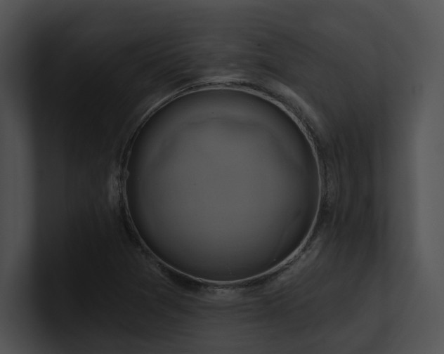 X0000100891361200806241223