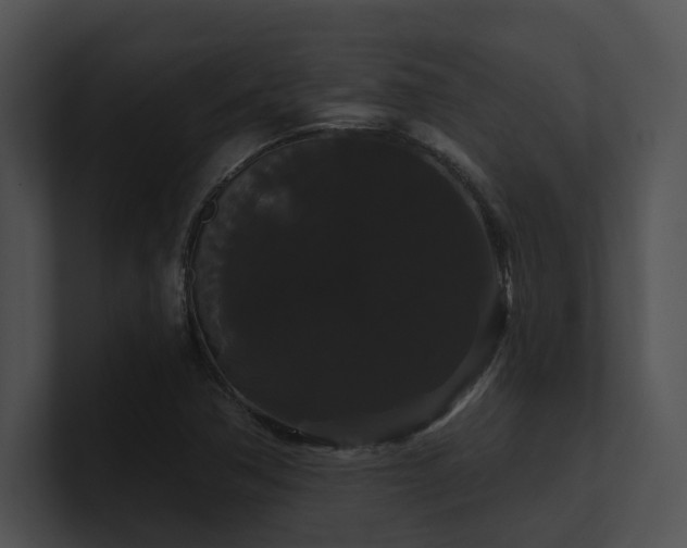 X0000100891362200806241223