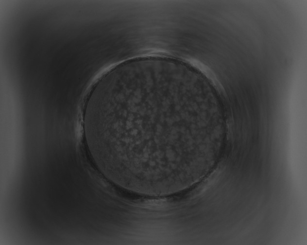X0000100891363200806241223