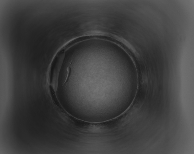 X0000100891364200806241223