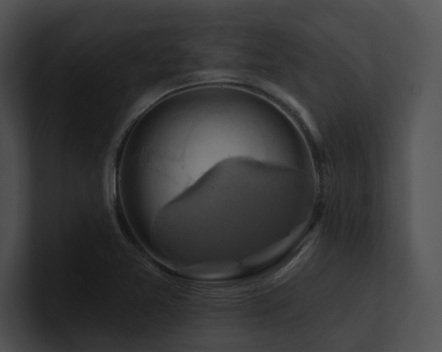 X0000100891365200806241223