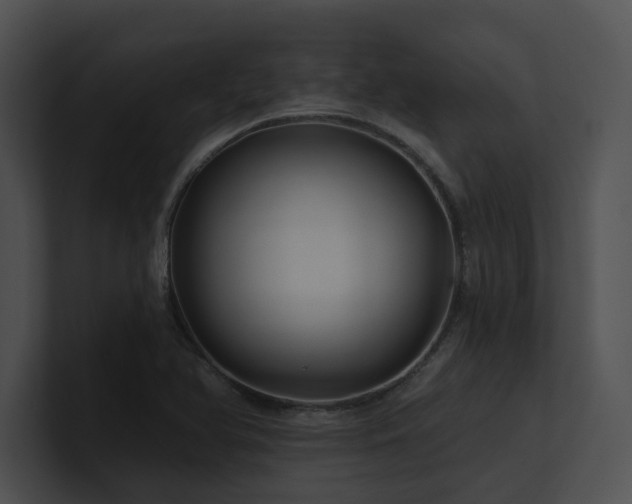 X0000100891366200806241223