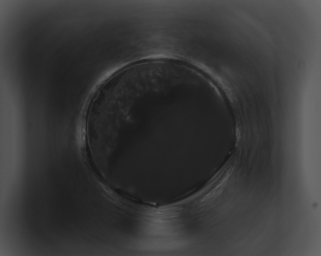 X0000100891367200806241223