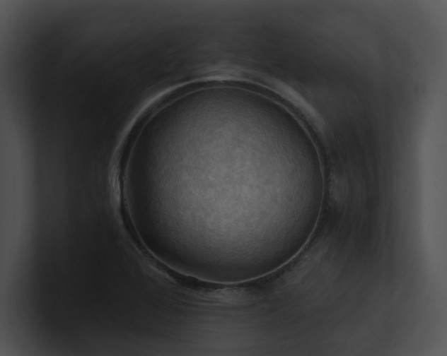X0000100891368200806241223