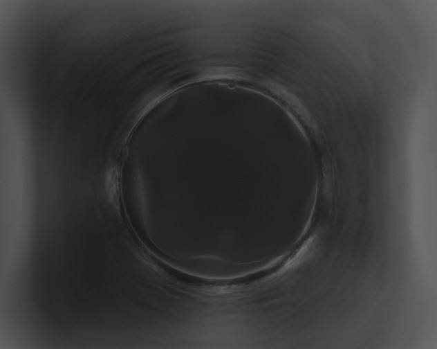 X0000100891369200806241223