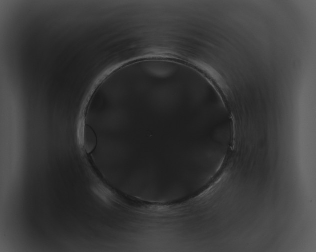 X0000100891371200806241222