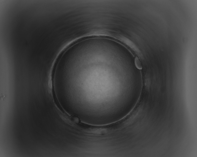 X0000100891372200806241222